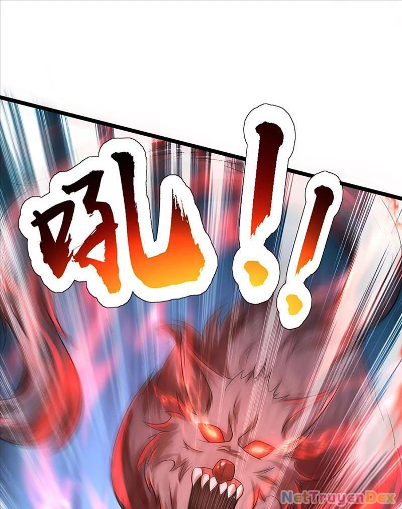 Võ đạo đại đế Chapter 5 - Trang 2