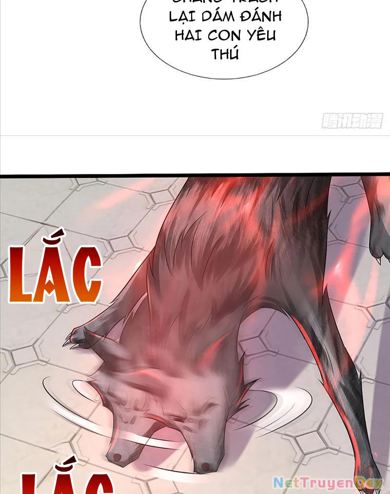 Võ đạo đại đế Chapter 5 - Trang 2