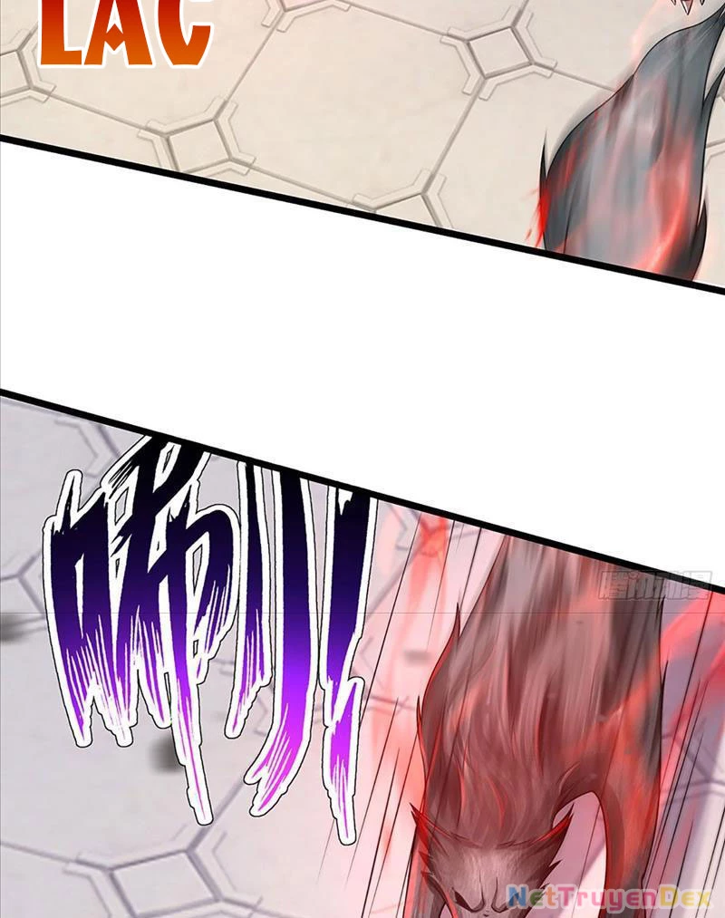 Võ đạo đại đế Chapter 5 - Trang 2
