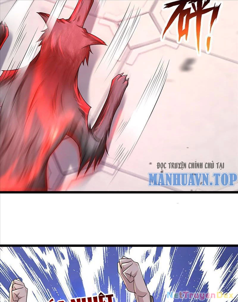 Võ đạo đại đế Chapter 5 - Trang 2