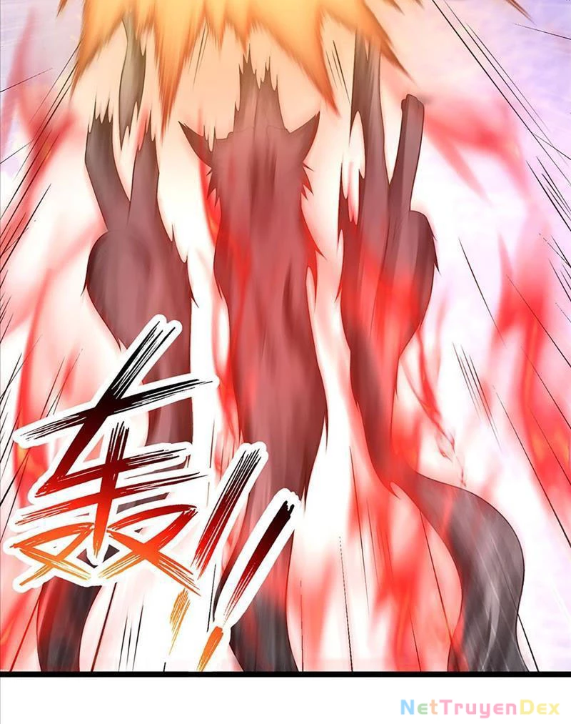 Võ đạo đại đế Chapter 5 - Trang 2