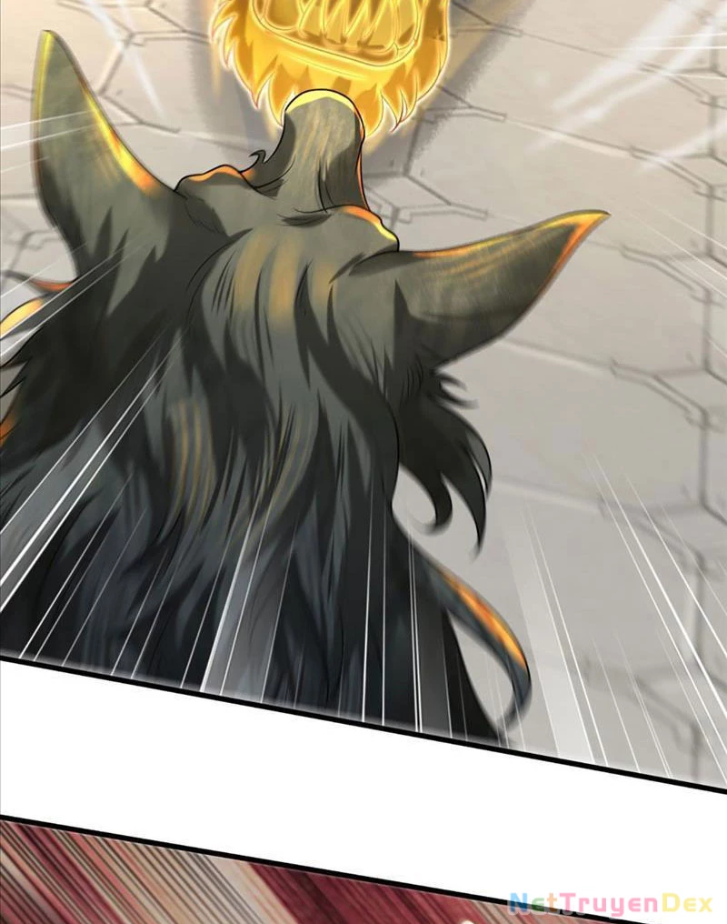 Võ đạo đại đế Chapter 5 - Trang 2