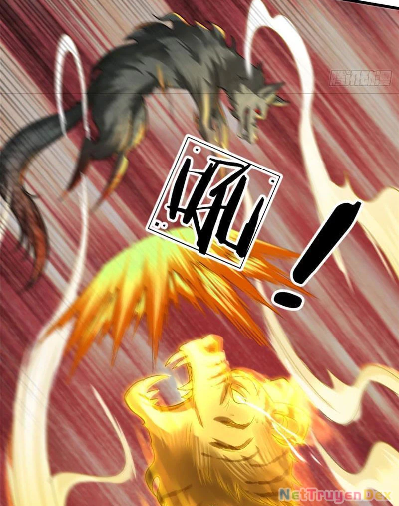 Võ đạo đại đế Chapter 5 - Trang 2