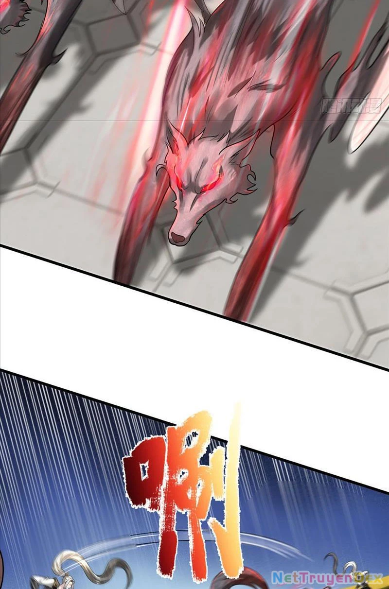 Võ đạo đại đế Chapter 5 - Trang 2