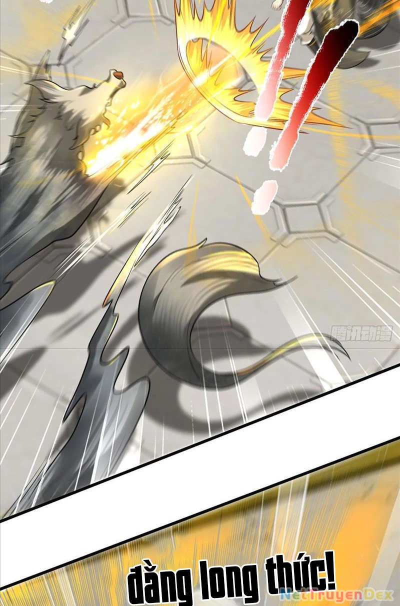 Võ đạo đại đế Chapter 5 - Trang 2