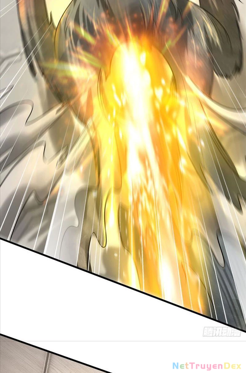 Võ đạo đại đế Chapter 5 - Trang 2