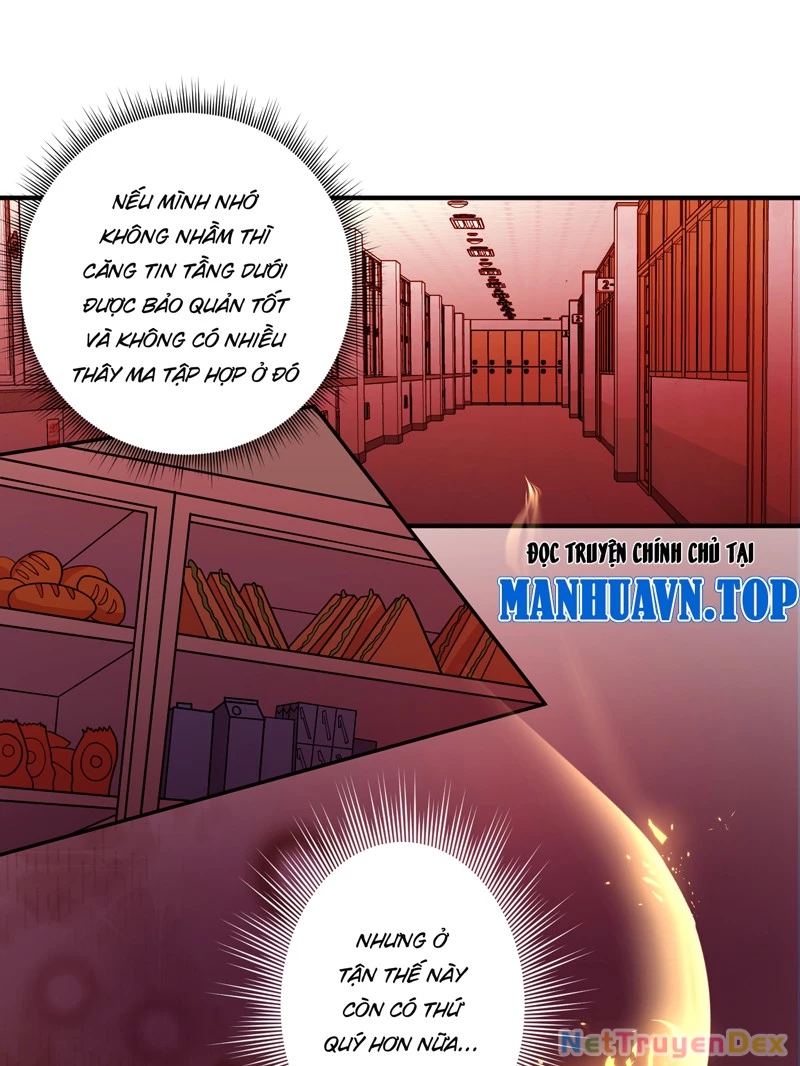 Trùng sinh tận thế, trước tiên giết thánh mẫu Chapter 2 - Trang 2