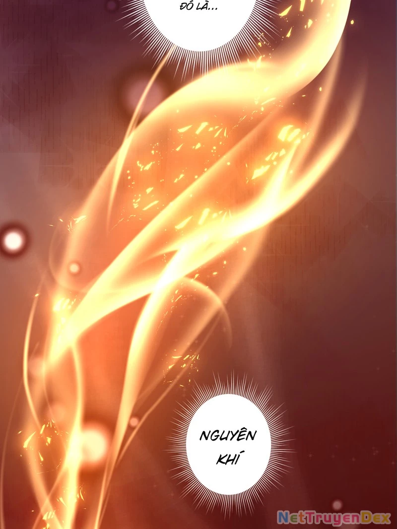 Trùng sinh tận thế, trước tiên giết thánh mẫu Chapter 2 - Trang 2