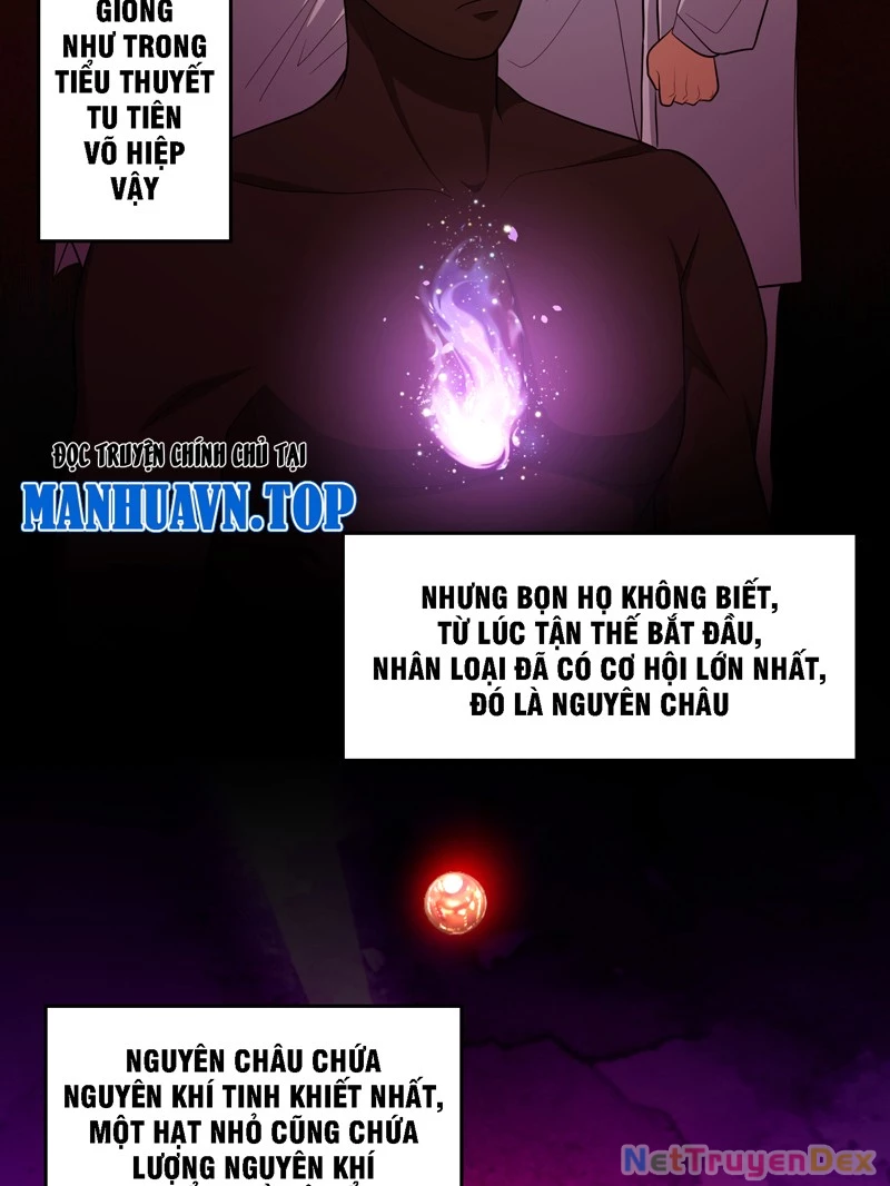 Trùng sinh tận thế, trước tiên giết thánh mẫu Chapter 2 - Trang 2