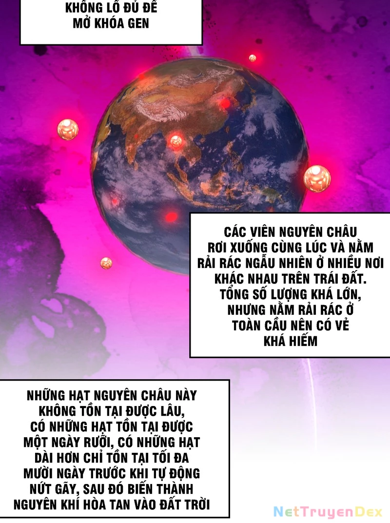 Trùng sinh tận thế, trước tiên giết thánh mẫu Chapter 2 - Trang 2