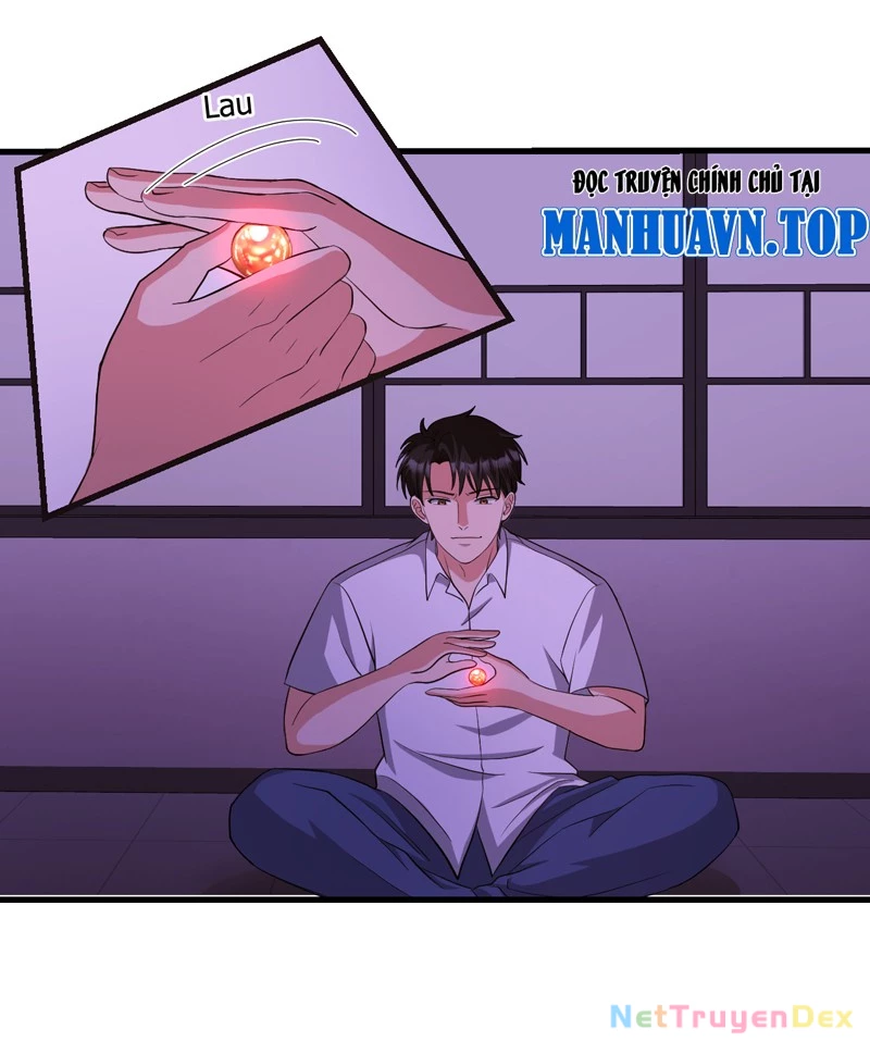 Trùng sinh tận thế, trước tiên giết thánh mẫu Chapter 3 - Trang 2