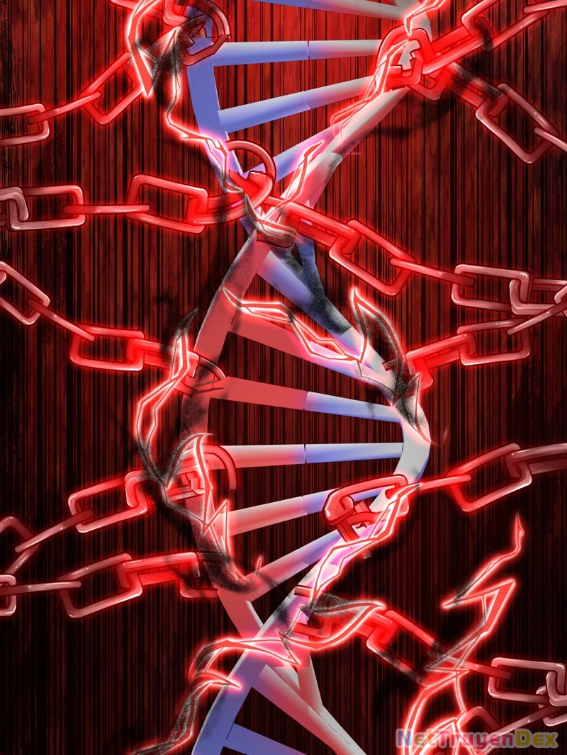 Trùng sinh tận thế, trước tiên giết thánh mẫu Chapter 4 - Trang 2