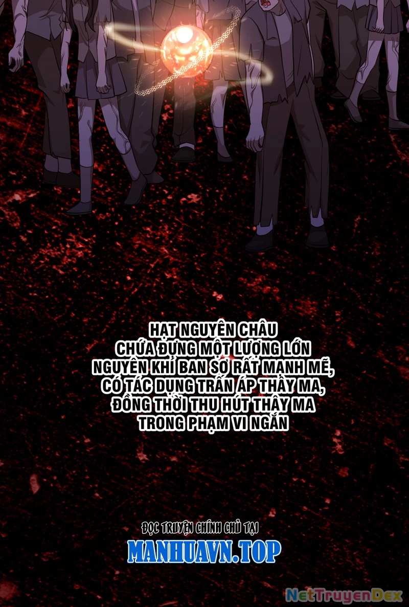 Trùng sinh tận thế, trước tiên giết thánh mẫu Chapter 4 - Trang 2