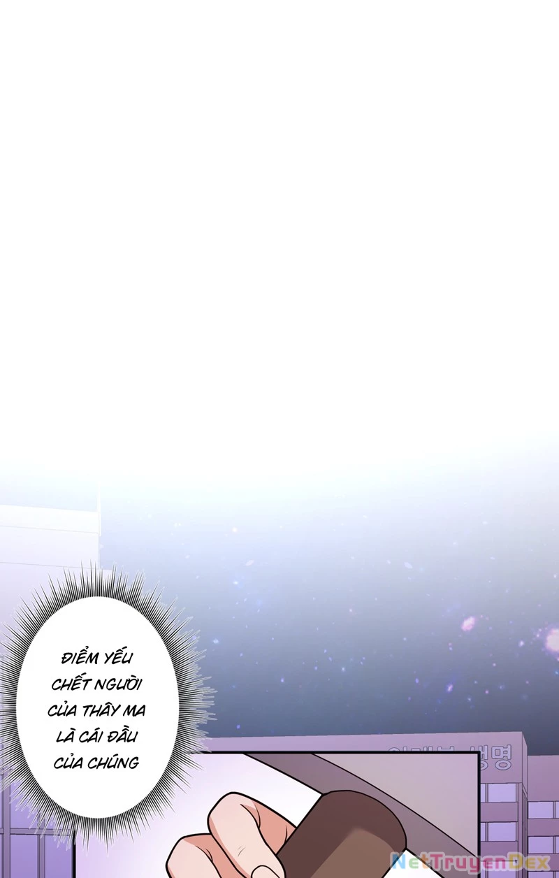 Trùng sinh tận thế, trước tiên giết thánh mẫu Chapter 4 - Trang 2