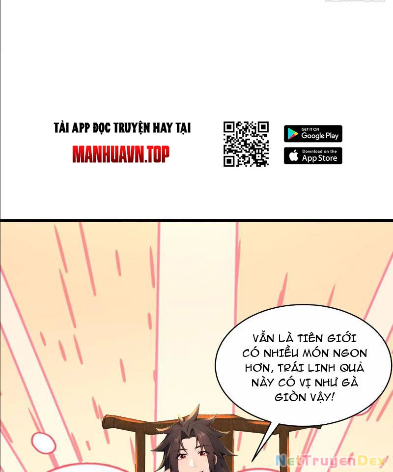 Tu chân trăm vạn năm: Đệ tử của ta trải rộng tiên giới Chapter 1 - Trang 2