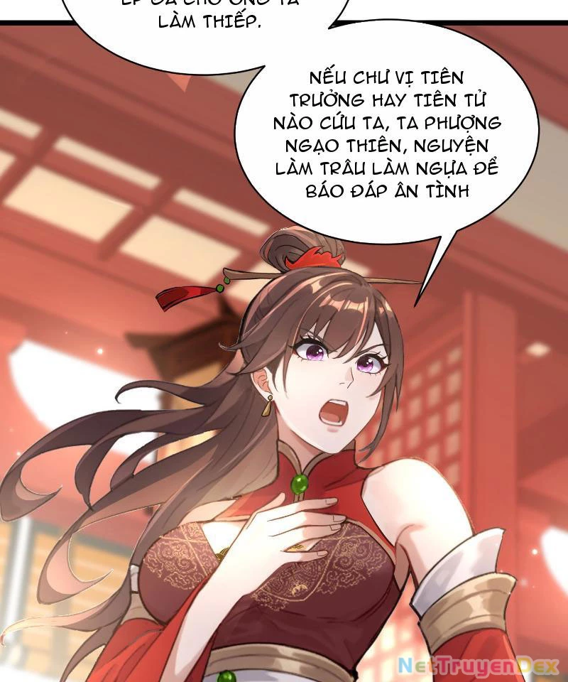 Tu chân trăm vạn năm: Đệ tử của ta trải rộng tiên giới Chapter 1 - Trang 2