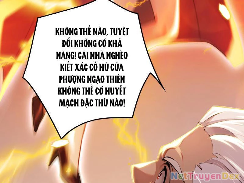 Tu chân trăm vạn năm: Đệ tử của ta trải rộng tiên giới Chapter 3 - Trang 2