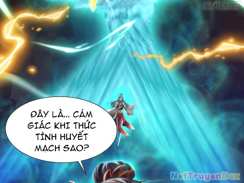 Tu chân trăm vạn năm: Đệ tử của ta trải rộng tiên giới Chapter 3 - Trang 2