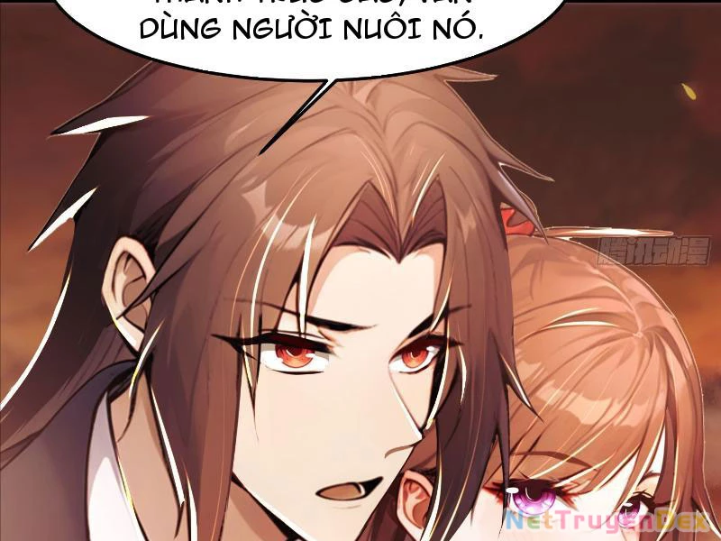 Tu chân trăm vạn năm: Đệ tử của ta trải rộng tiên giới Chapter 4 - Trang 2