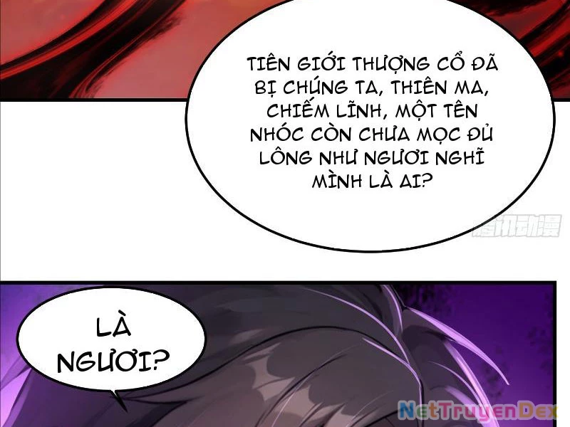 Tu chân trăm vạn năm: Đệ tử của ta trải rộng tiên giới Chapter 5 - Trang 2