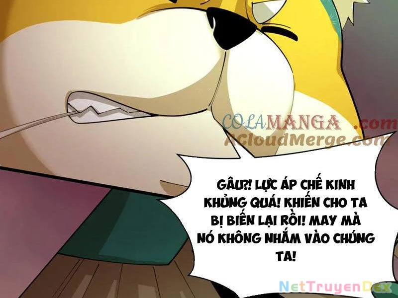 Kỷ Nguyên Kỳ Lạ Chapter 408 - Trang 4