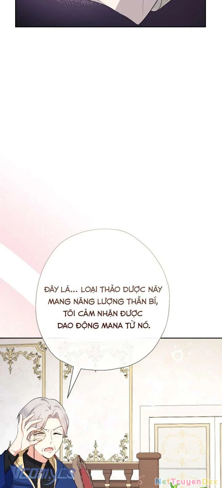 Tiểu Thư Tích Tiền Đi Bụi Chapter 81 - Trang 4