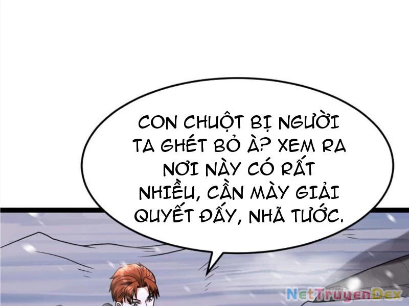 Toàn Cầu Băng Phong: Ta Chế Tạo Phòng An Toàn Tại Tận Thế Chapter 556 - Trang 4