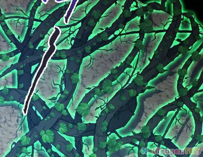 Đệ Nhất Danh Sách Chapter 504 - Trang 4