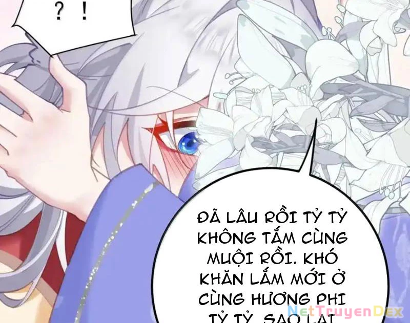 Phá thân của nữ Hoàng Đế Chapter 23 - Next Chapter 24