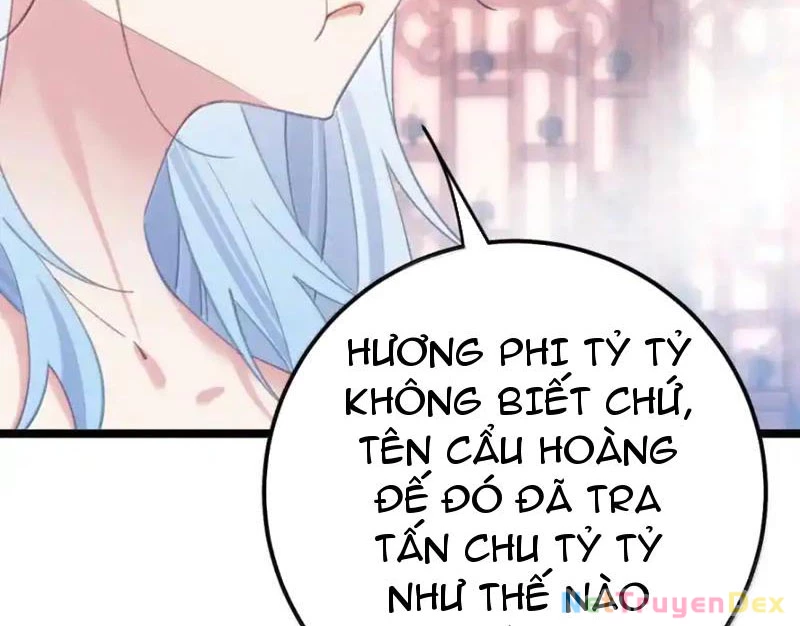 Phá thân của nữ Hoàng Đế Chapter 23 - Next Chapter 24