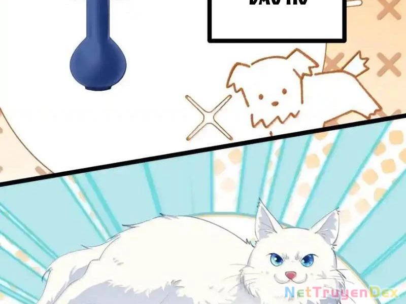 Phá thân của nữ Hoàng Đế Chapter 25 - Trang 3