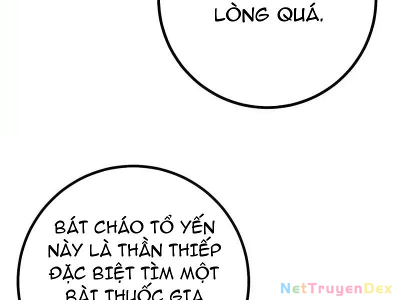 Phá thân của nữ Hoàng Đế Chapter 27 - Trang 3