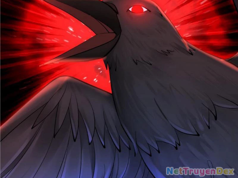 Toàn Cầu Băng Phong: Ta Chế Tạo Phòng An Toàn Tại Tận Thế Chapter 557 - Trang 4