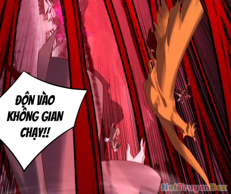 [FIX Thứ tự] Ta Trời Sinh Đã Là Nhân Vật Phản Diện Chapter 216 - Trang 2