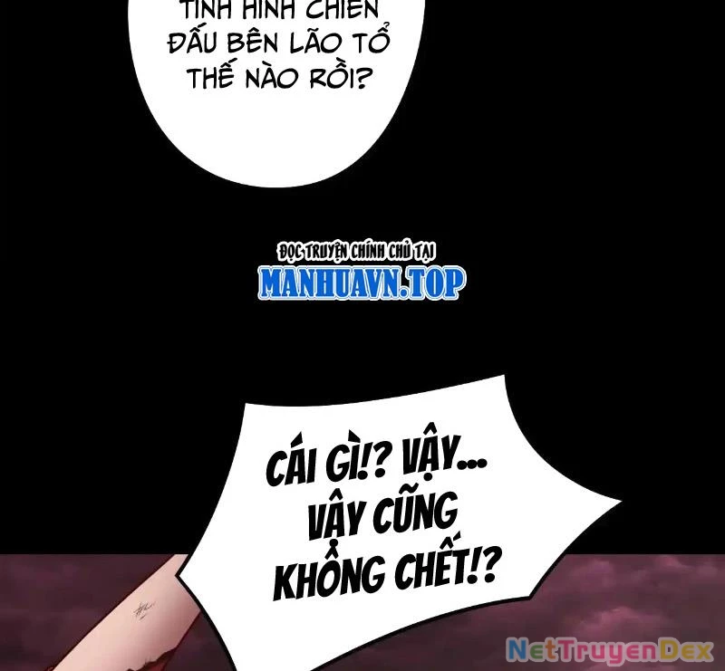 [FIX Thứ tự] Ta Trời Sinh Đã Là Nhân Vật Phản Diện Chapter 217 - Trang 2