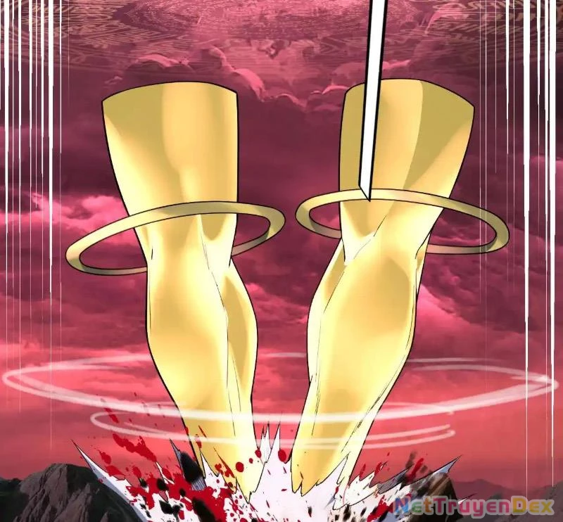 [FIX Thứ tự] Ta Trời Sinh Đã Là Nhân Vật Phản Diện Chapter 217 - Trang 2