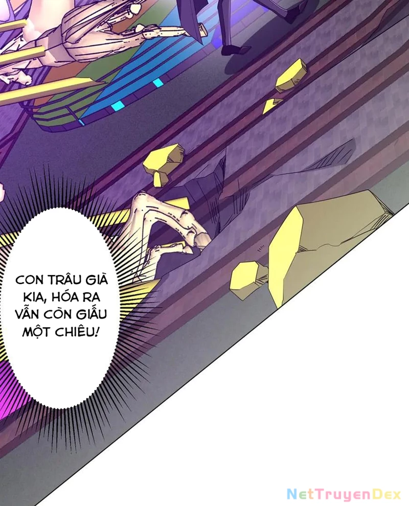 Bắt Đầu Với Trăm Vạn Minh Tệ Chapter 206 - Trang 4