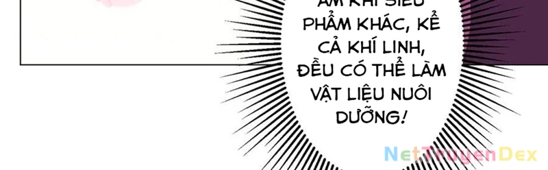 Bắt Đầu Với Trăm Vạn Minh Tệ Chapter 206 - Trang 4