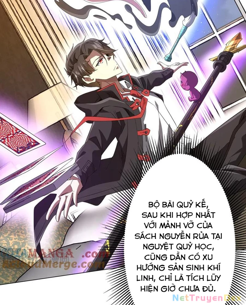 Bắt Đầu Với Trăm Vạn Minh Tệ Chapter 206 - Trang 4