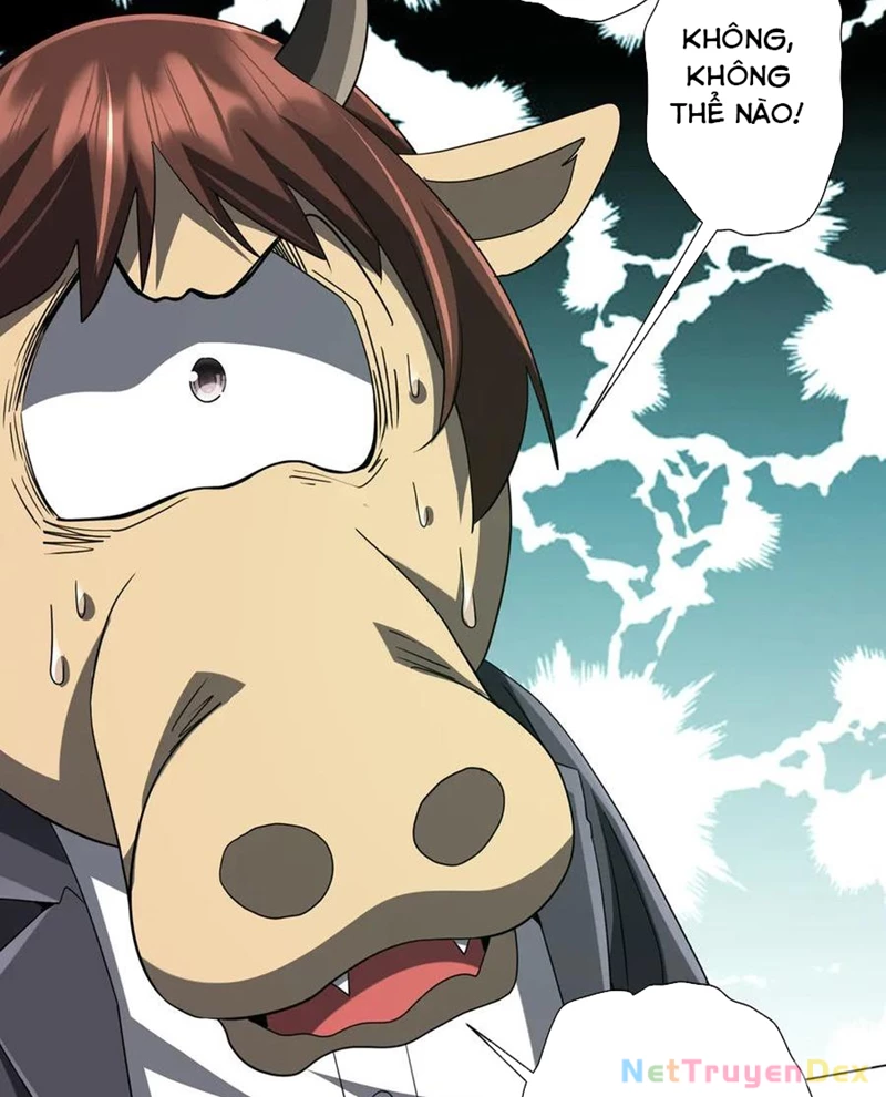 Bắt Đầu Với Trăm Vạn Minh Tệ Chapter 206 - Trang 4