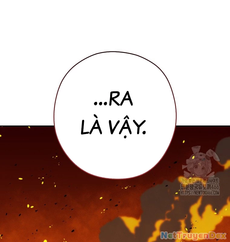 Tái Thiết Hầm Ngục Chapter 232 - Trang 4