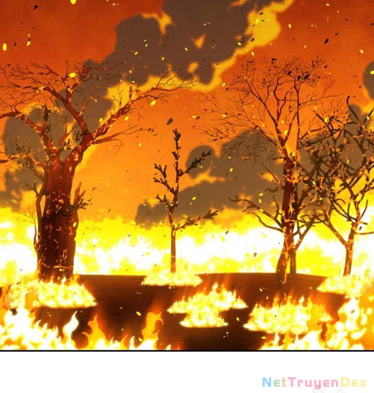 Tái Thiết Hầm Ngục Chapter 232 - Trang 4