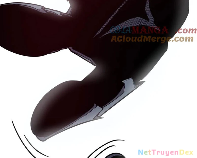 Hệ Thống Của Ta Thật Đứng Đắn Chapter 48 - Trang 4