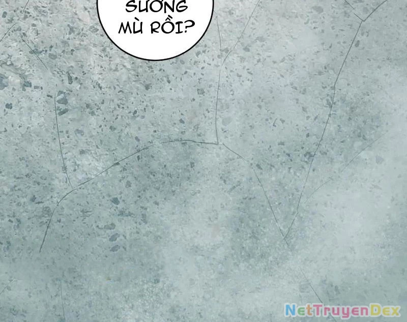 Mạt Nhật Thiên Hạ: Ta, Virus Quân Vương Chapter 48 - Trang 4