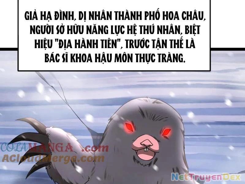 Toàn Cầu Băng Phong: Ta Chế Tạo Phòng An Toàn Tại Tận Thế Chapter 558 - Trang 4