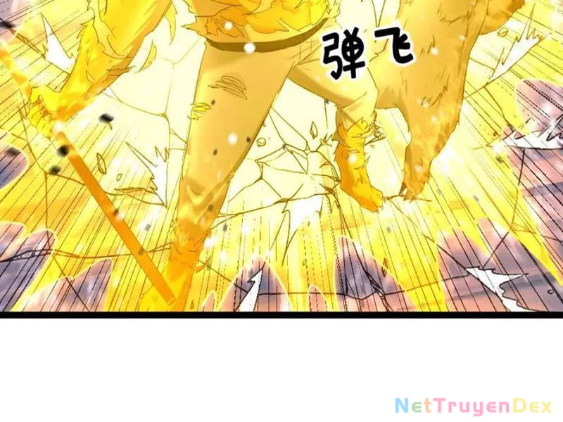 Toàn Cầu Băng Phong: Ta Chế Tạo Phòng An Toàn Tại Tận Thế Chapter 558 - Trang 4