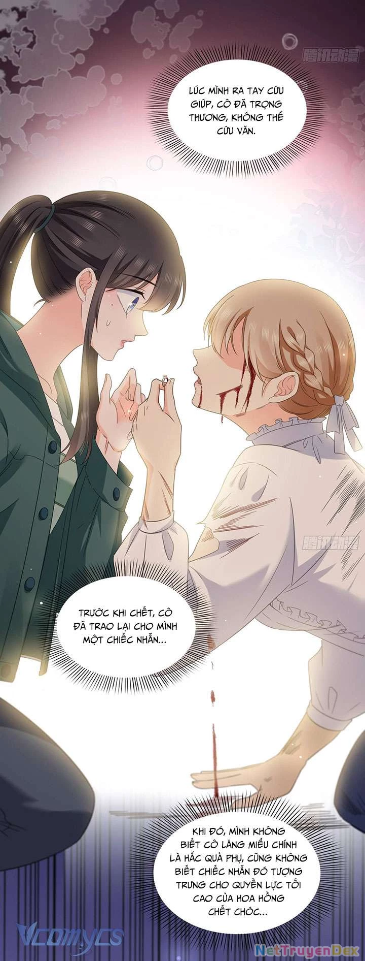 Hệt Như Hàn Quang Gặp Nắng Gắt Chap 529 - Trang 4