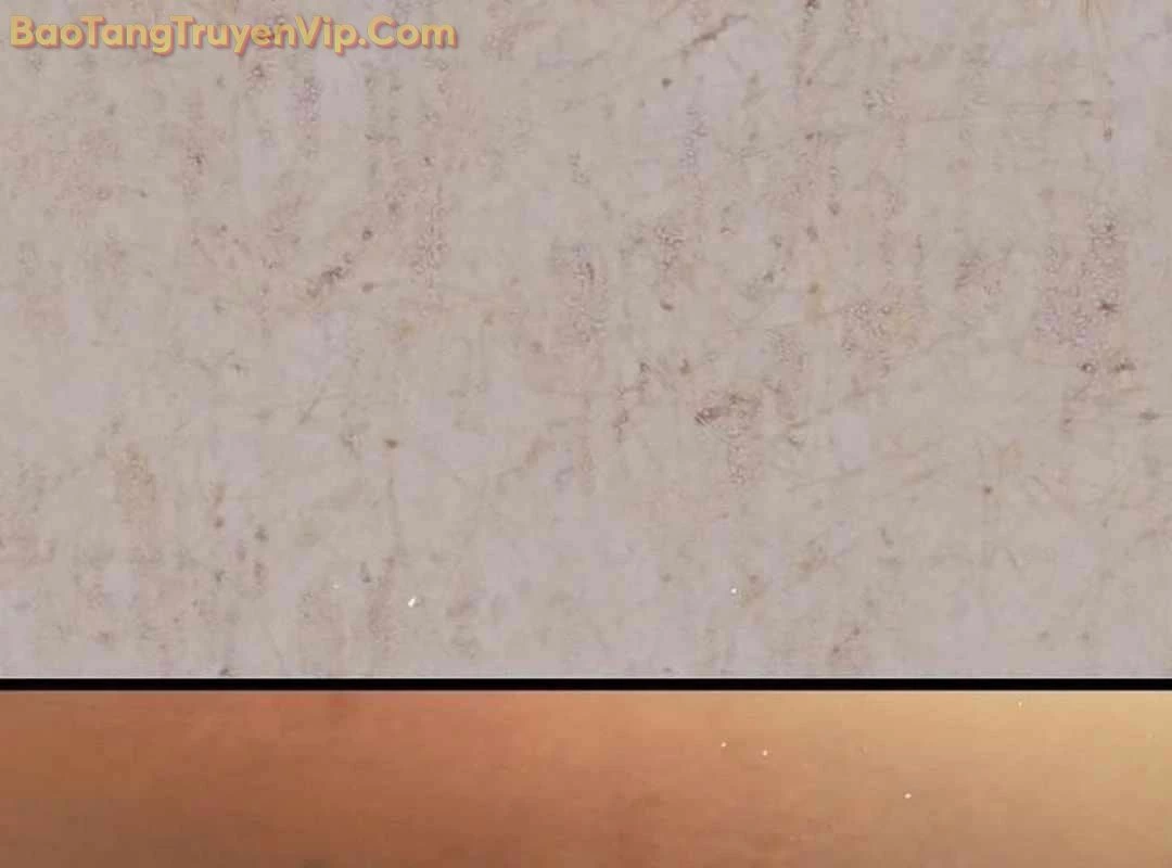 Vinh Quang Vô Tận Chapter 51 - Trang 2