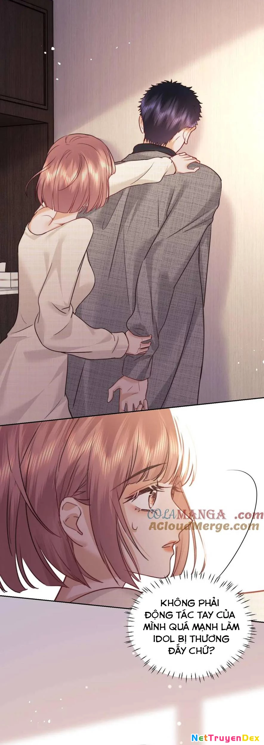 Trọng Sinh Trở Thành Fan" Vợ " Của Thần Tượng Chapter 77 - Trang 3