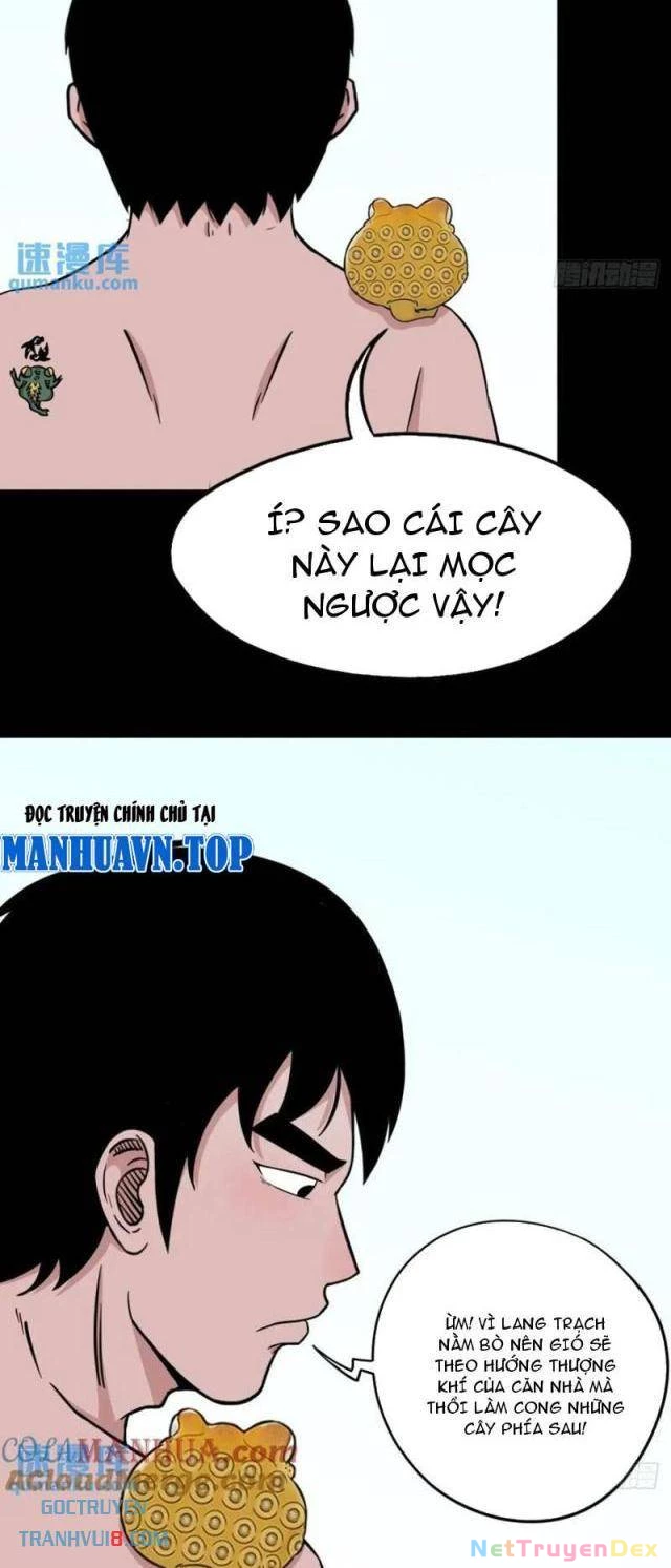 Đấu Yếm Thần Chapter 233 - Trang 3